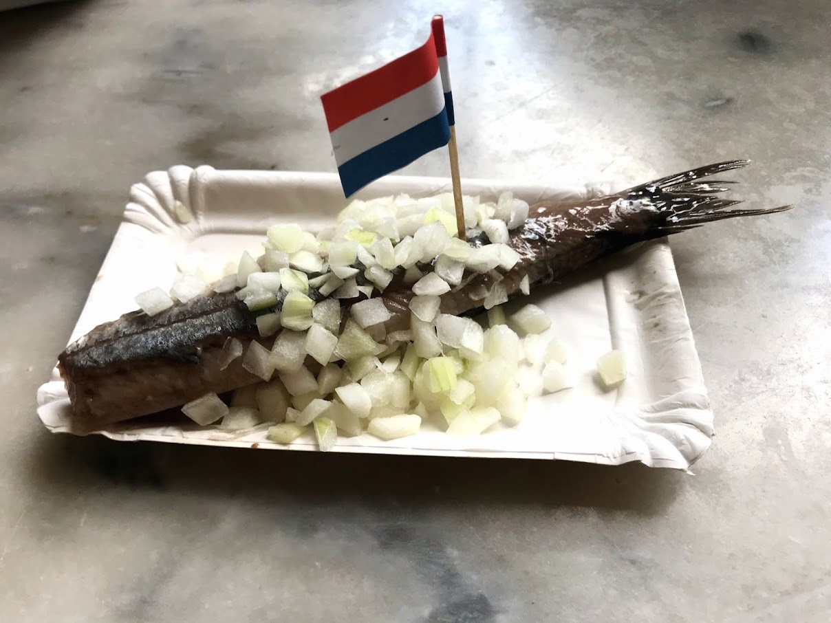 荷蘭,歐洲旅遊 @鯊魚大口咬