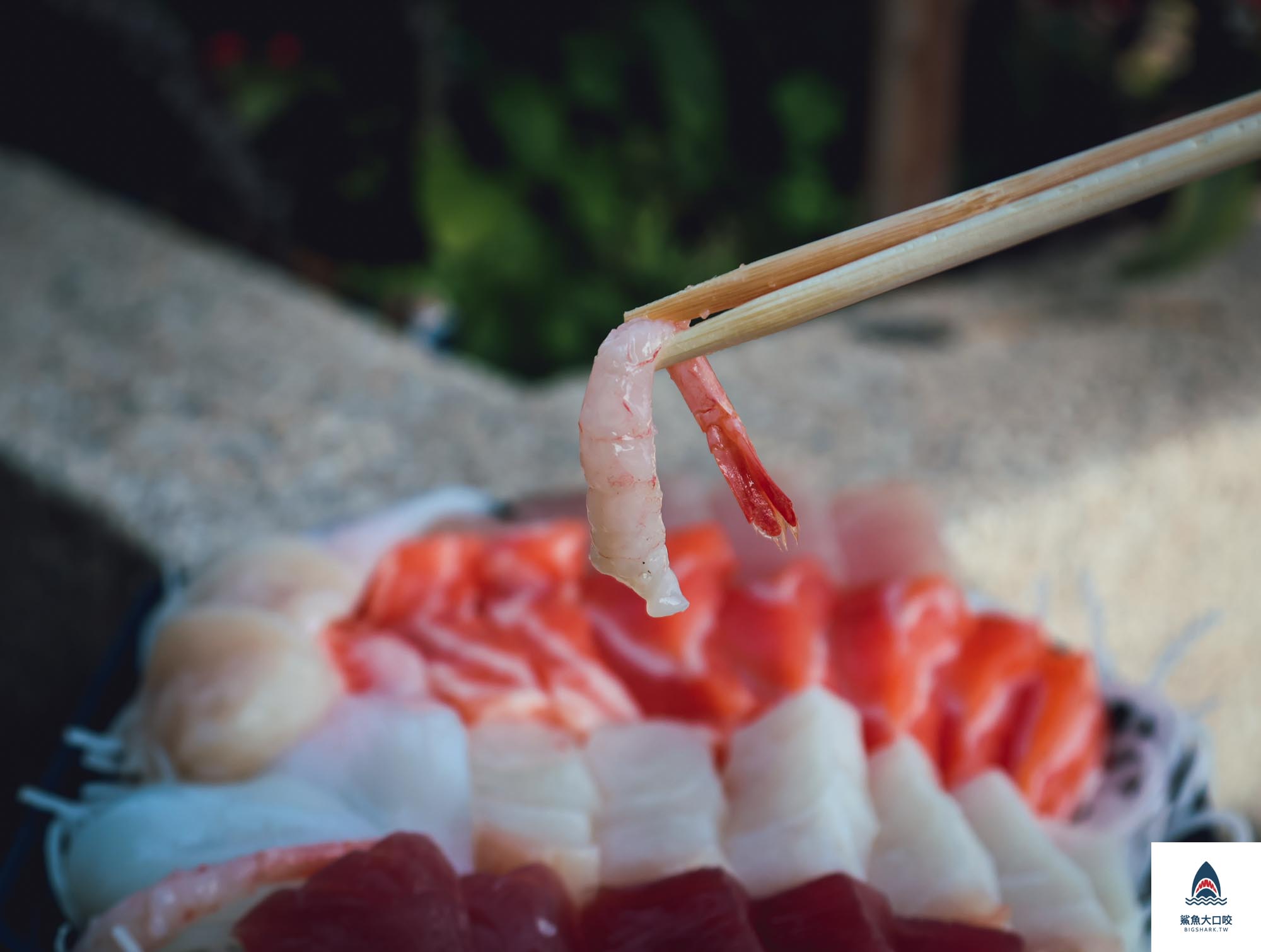 台中港生魚片推薦,梧棲漁港生魚片,梧棲漁港美食,台中港美食,台中港B028,丸紀生魚片,梧棲漁港生魚片推薦,台中生魚片推薦,500元大拼盤,台中港生魚片 @鯊魚大口咬