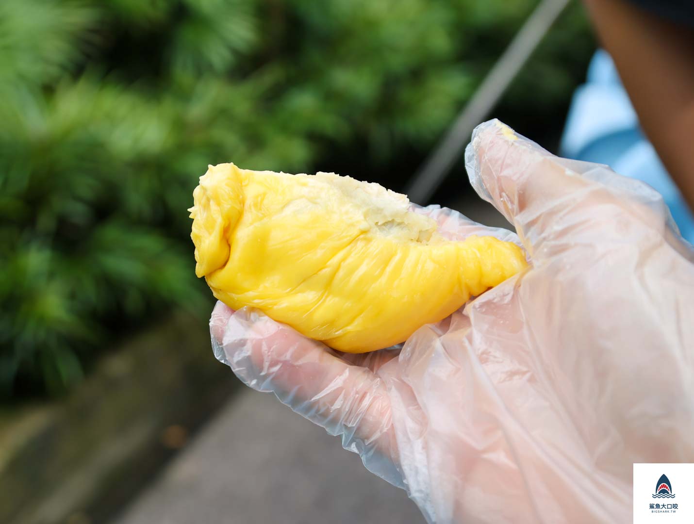 吉隆坡流榴蓮,雲頂高原美食推薦,雲頂高原榴槤,馬來西亞貓山王,吉隆坡美食 @鯊魚大口咬