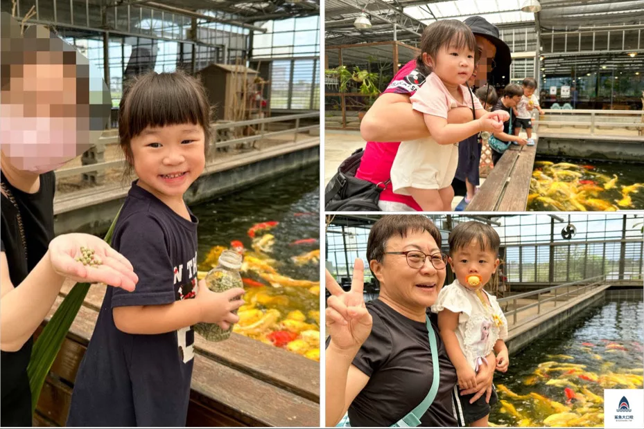 金車礁溪蘭花園附設動植物生態館,宜蘭景點推薦,礁溪景點推薦,礁溪親子景點,宜蘭親子景點 @鯊魚大口咬