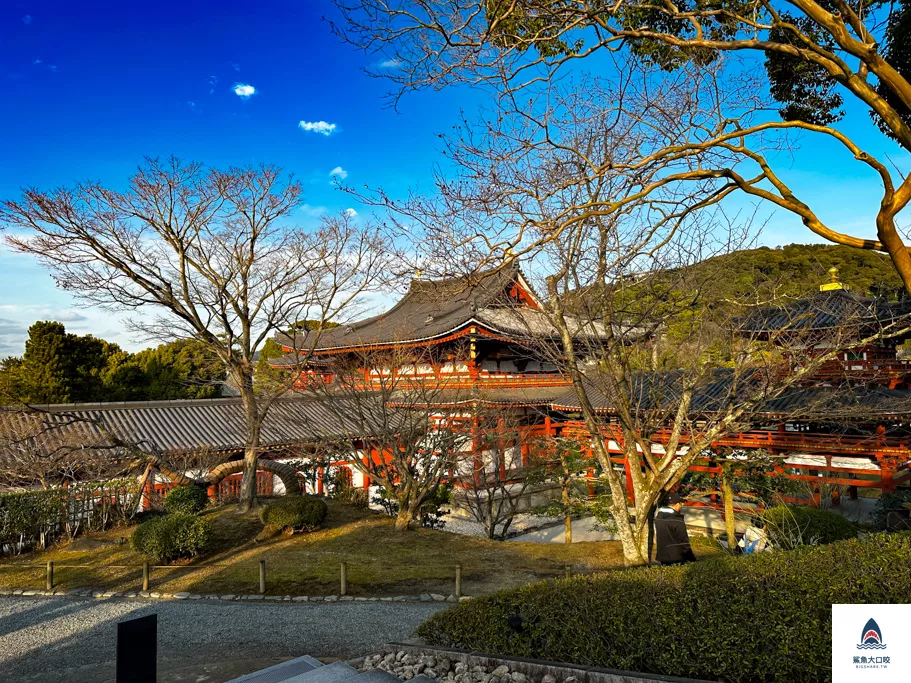 宇治景點,京都景點,宇治平等院,關西景點推薦 @鯊魚大口咬