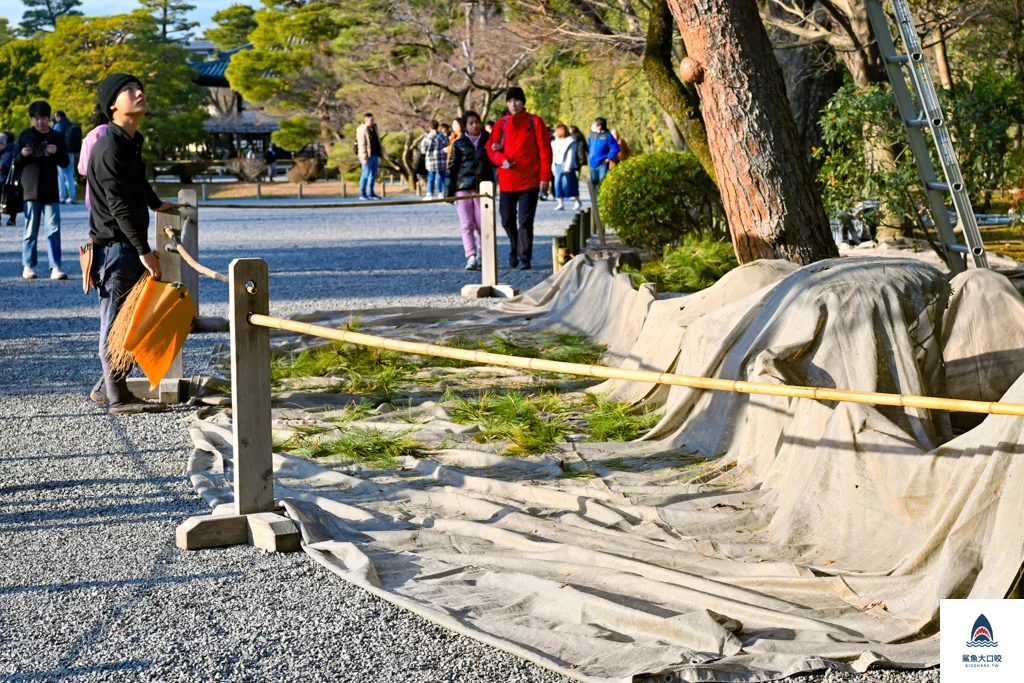 宇治景點,京都景點,宇治平等院,關西景點推薦 @鯊魚大口咬