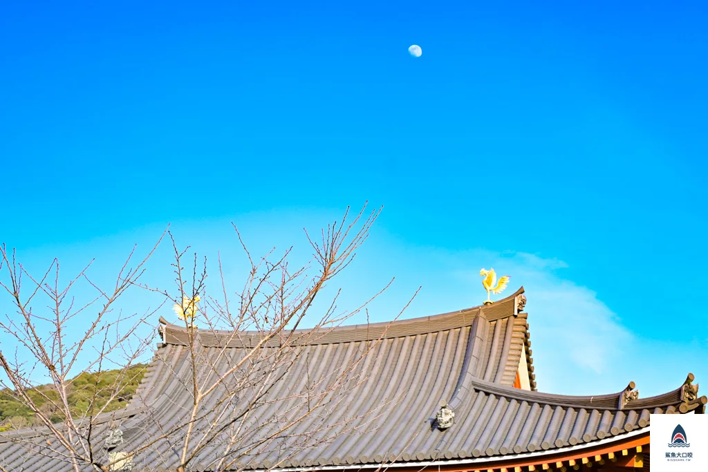 宇治景點,京都景點,宇治平等院,關西景點推薦 @鯊魚大口咬