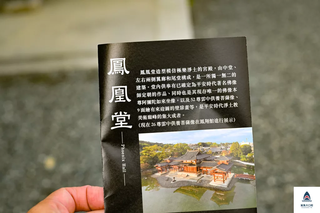 宇治景點,京都景點,宇治平等院,關西景點推薦 @鯊魚大口咬