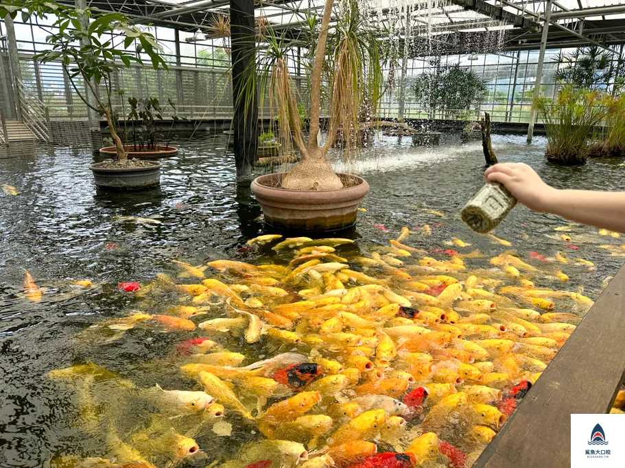 金車礁溪蘭花園附設動植物生態館,宜蘭景點推薦,礁溪景點推薦,礁溪親子景點,宜蘭親子景點 @鯊魚大口咬