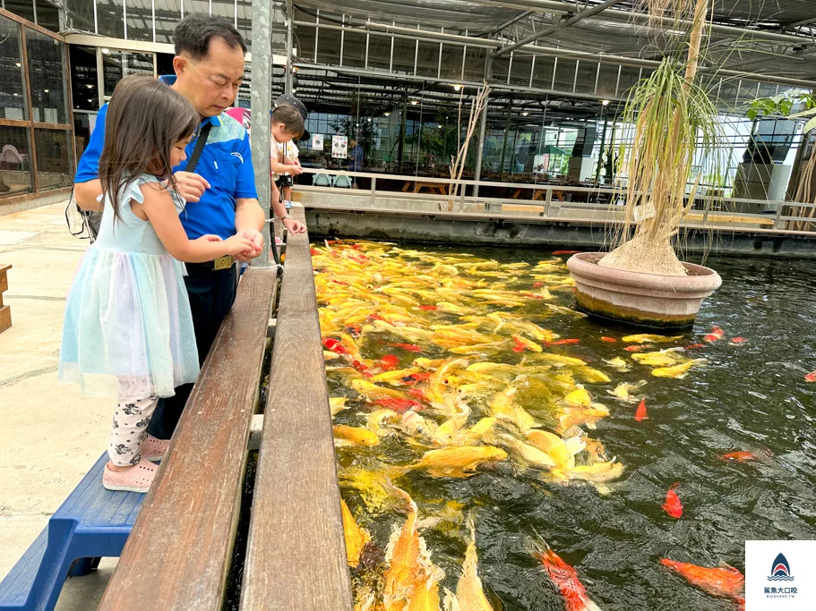 礁溪景點推薦,礁溪親子景點,宜蘭親子景點,金車礁溪蘭花園附設動植物生態館,宜蘭景點推薦 @鯊魚大口咬