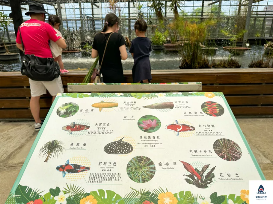 金車礁溪蘭花園附設動植物生態館,宜蘭景點推薦,礁溪景點推薦,礁溪親子景點,宜蘭親子景點 @鯊魚大口咬