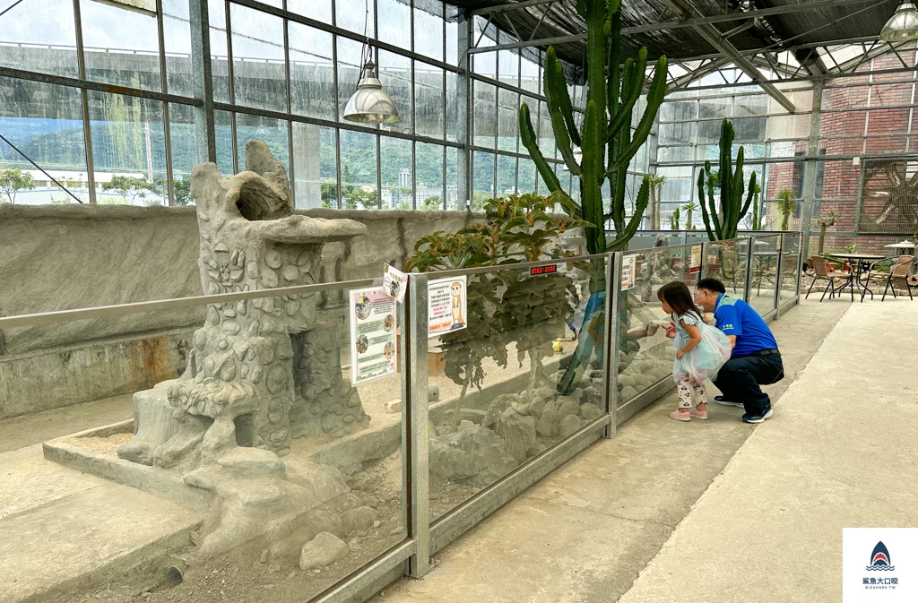 金車礁溪蘭花園附設動植物生態館,宜蘭景點推薦,礁溪景點推薦,礁溪親子景點,宜蘭親子景點 @鯊魚大口咬