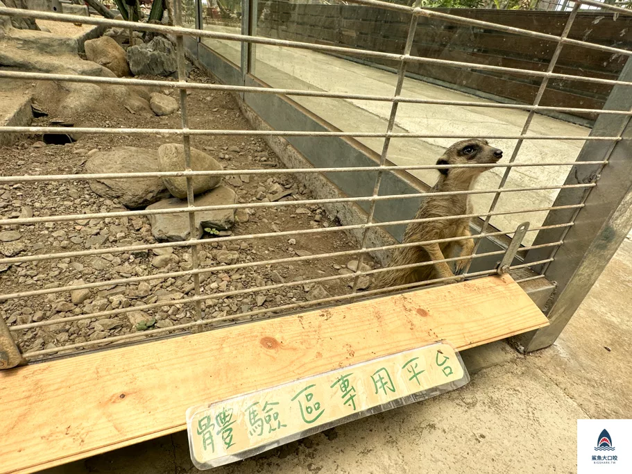 金車礁溪蘭花園附設動植物生態館,宜蘭景點推薦,礁溪景點推薦,礁溪親子景點,宜蘭親子景點 @鯊魚大口咬