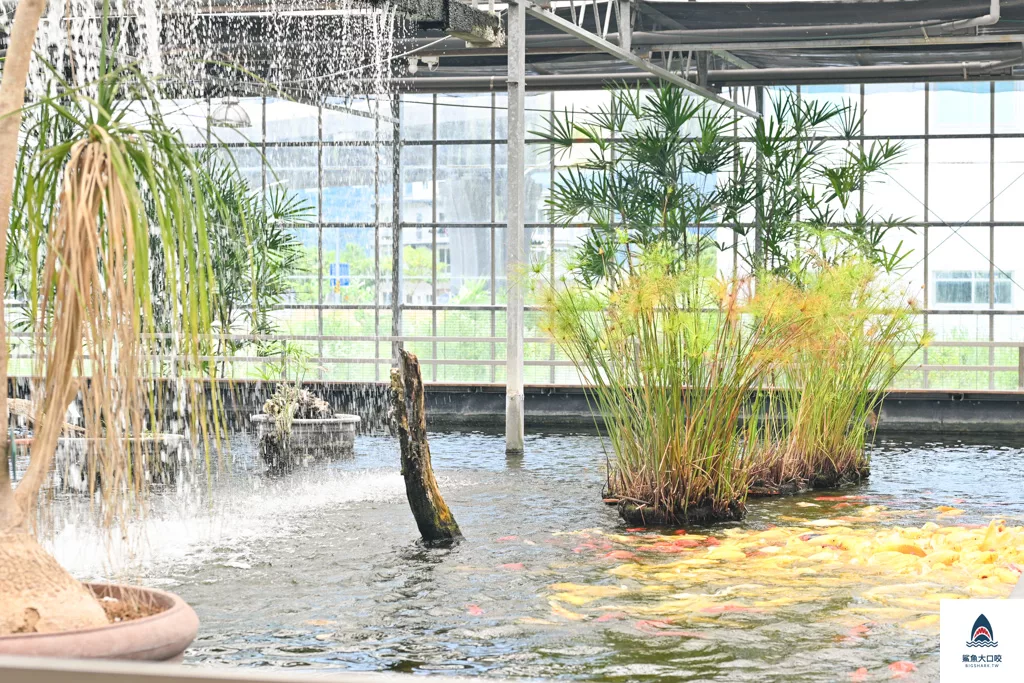 金車礁溪蘭花園附設動植物生態館,宜蘭景點推薦,礁溪景點推薦,礁溪親子景點,宜蘭親子景點 @鯊魚大口咬