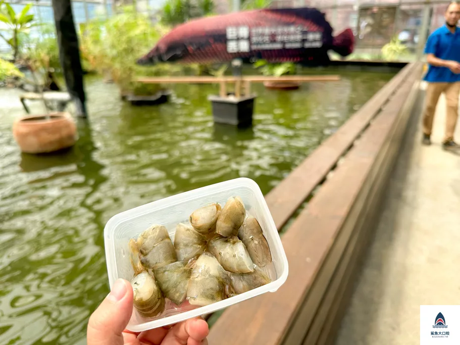 金車礁溪蘭花園附設動植物生態館,宜蘭景點推薦,礁溪景點推薦,礁溪親子景點,宜蘭親子景點 @鯊魚大口咬