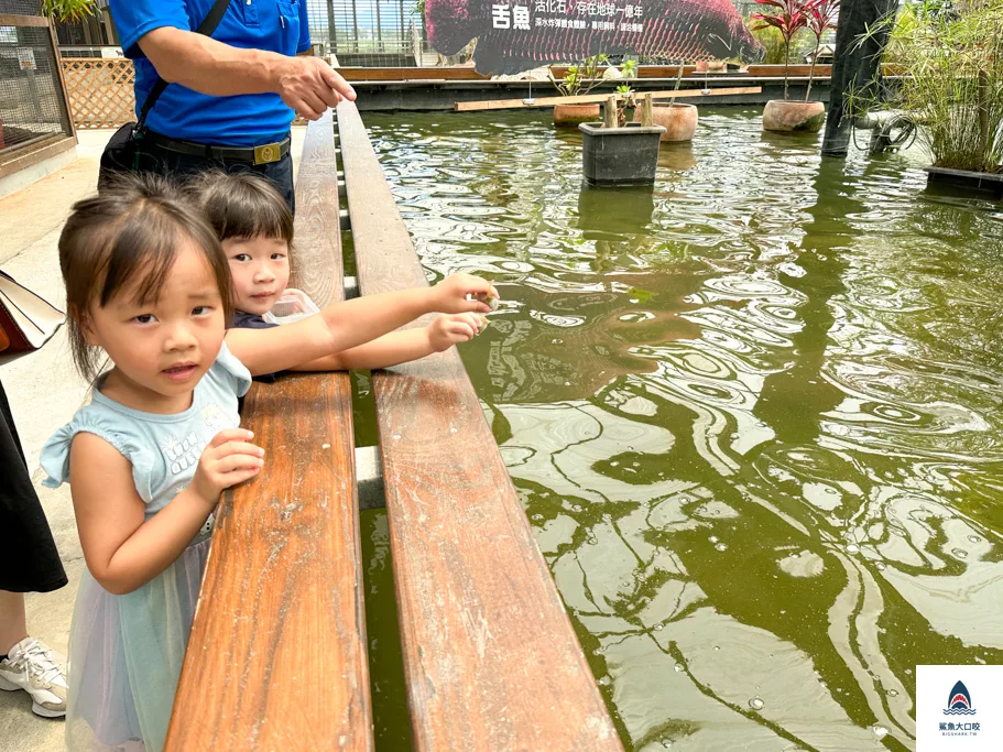 礁溪景點推薦,礁溪親子景點,宜蘭親子景點,金車礁溪蘭花園附設動植物生態館,宜蘭景點推薦 @鯊魚大口咬