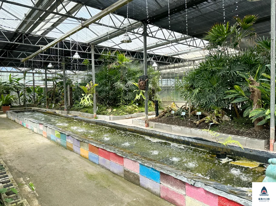 金車礁溪蘭花園附設動植物生態館,宜蘭景點推薦,礁溪景點推薦,礁溪親子景點,宜蘭親子景點 @鯊魚大口咬