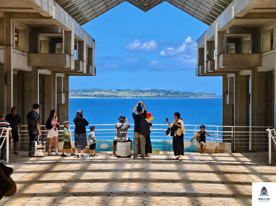 沖繩必去,沖繩必玩,沖繩美麗海水族館門票,沖繩景點推薦,沖繩水族館,沖繩美麗海水族館,沖繩海洋博公園 @鯊魚大口咬