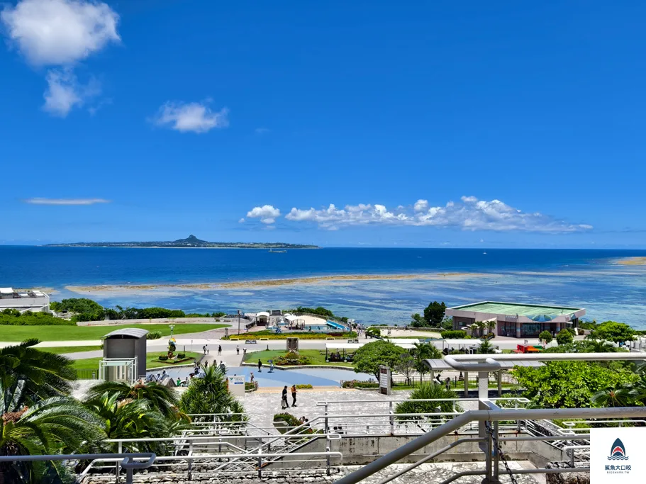 沖繩必去,沖繩必玩,沖繩美麗海水族館門票,沖繩景點推薦,沖繩水族館,沖繩美麗海水族館,沖繩海洋博公園 @鯊魚大口咬