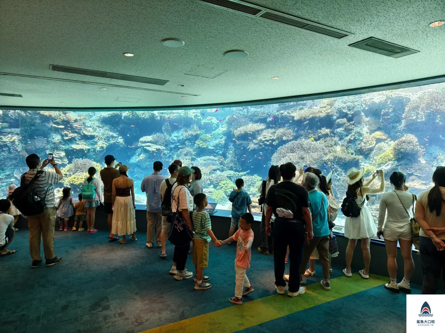 沖繩美麗海水族館門票,沖繩景點推薦,沖繩水族館,沖繩美麗海水族館,沖繩海洋博公園,沖繩必去,沖繩必玩 @鯊魚大口咬