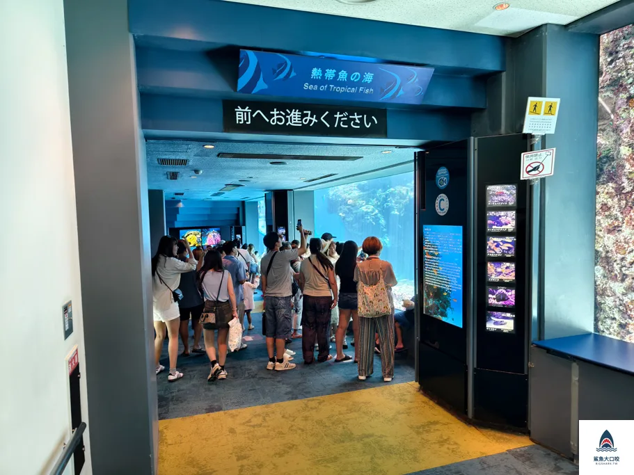 沖繩美麗海水族館門票,沖繩景點推薦,沖繩水族館,沖繩美麗海水族館,沖繩海洋博公園,沖繩必去,沖繩必玩 @鯊魚大口咬