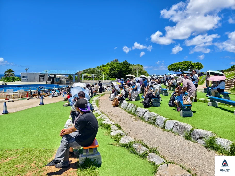 沖繩美麗海水族館門票,沖繩景點推薦,沖繩水族館,沖繩美麗海水族館,沖繩海洋博公園,沖繩必去,沖繩必玩 @鯊魚大口咬