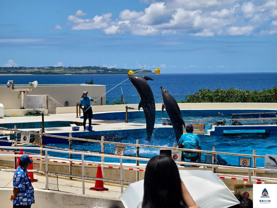 沖繩美麗海水族館門票,沖繩景點推薦,沖繩水族館,沖繩美麗海水族館,沖繩海洋博公園,沖繩必去,沖繩必玩 @鯊魚大口咬