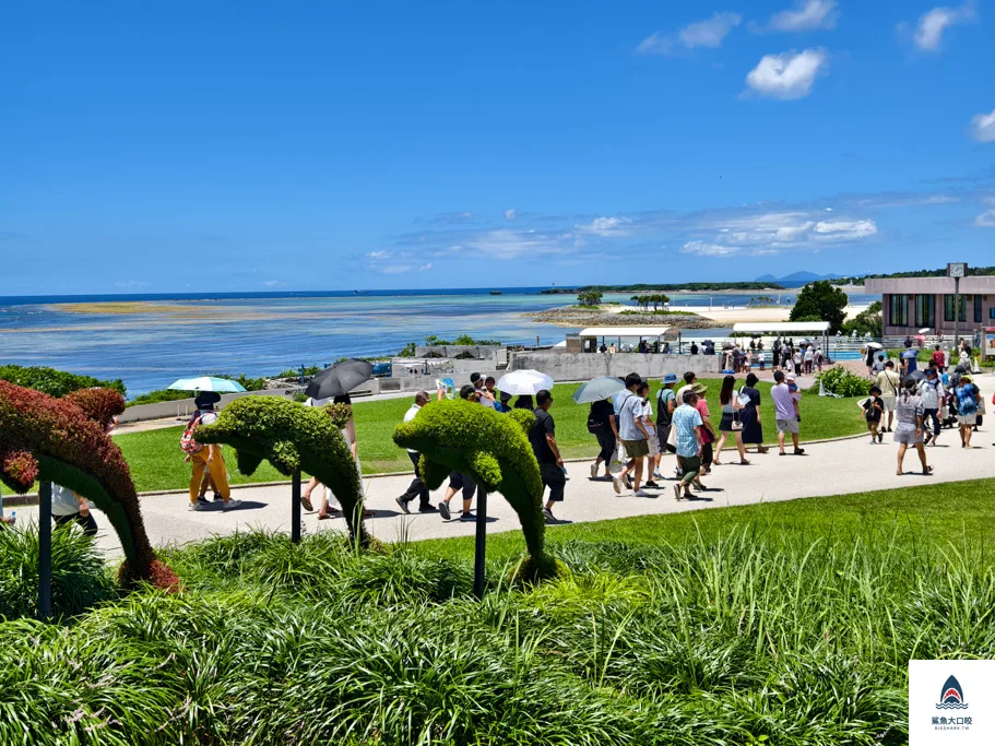 沖繩必去,沖繩必玩,沖繩美麗海水族館門票,沖繩景點推薦,沖繩水族館,沖繩美麗海水族館,沖繩海洋博公園 @鯊魚大口咬