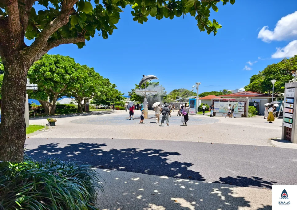 沖繩美麗海水族館門票,沖繩景點推薦,沖繩水族館,沖繩美麗海水族館,沖繩海洋博公園,沖繩必去,沖繩必玩 @鯊魚大口咬