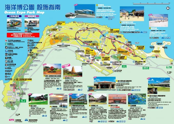 沖繩必去,沖繩必玩,沖繩美麗海水族館門票,沖繩景點推薦,沖繩水族館,沖繩美麗海水族館,沖繩海洋博公園 @鯊魚大口咬