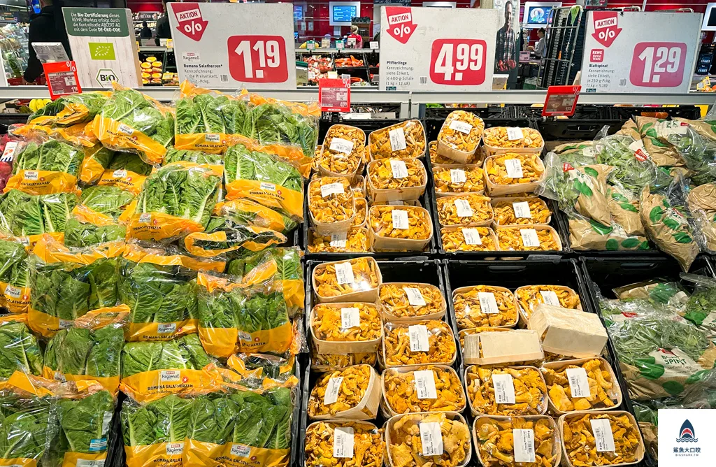 德國超市rewe,德國超市Aldi,德國超市Lidl,德國超市必買,德國物價,德國超市介紹 @鯊魚大口咬