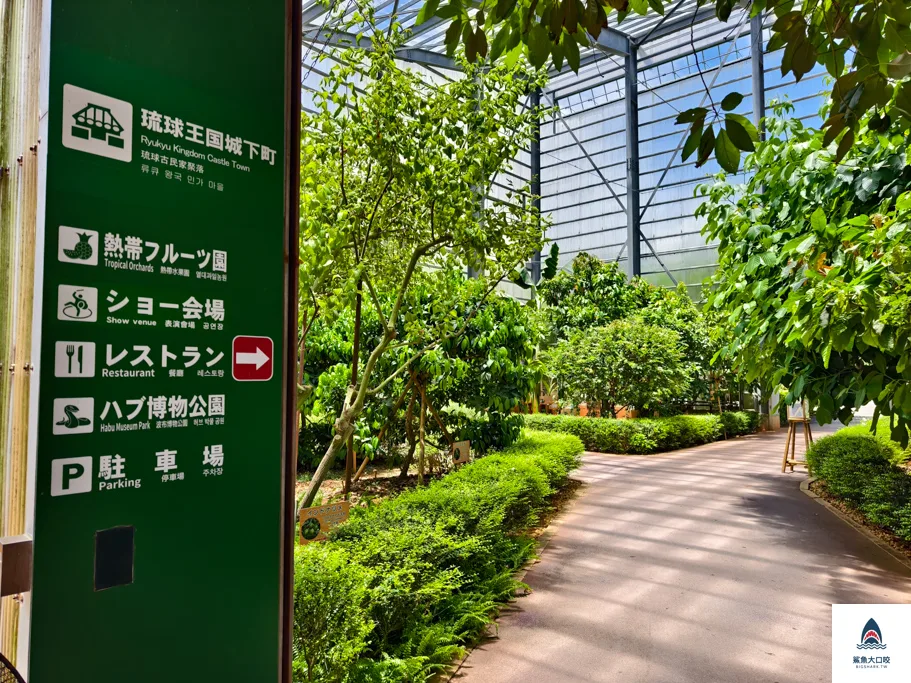 沖繩南部景點,沖繩玉泉洞,沖繩王國村,沖繩景點,沖繩自駕,沖繩親子 @鯊魚大口咬