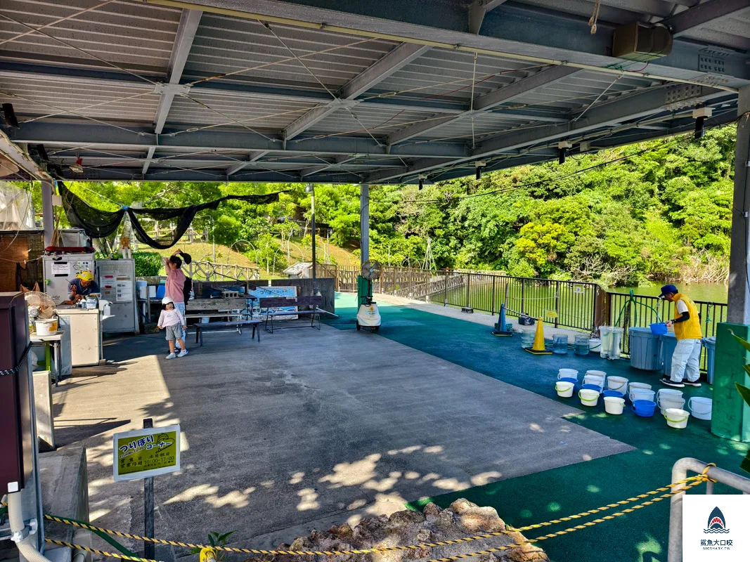 沖繩動物園,沖繩兒童王國門票,沖繩兒童王國交通,沖繩親子景點,沖繩景點推薦,沖繩兒童王國 @鯊魚大口咬